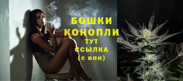сатива Абдулино