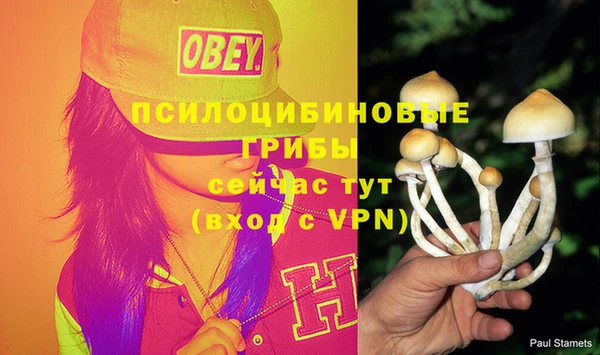 дмт Осташков