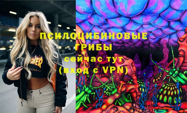 сатива Абдулино