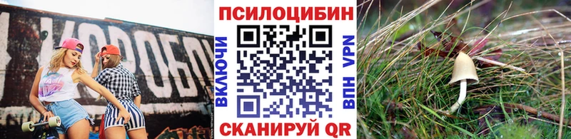 Галлюциногенные грибы MAGIC MUSHROOMS  цена   Скопин 