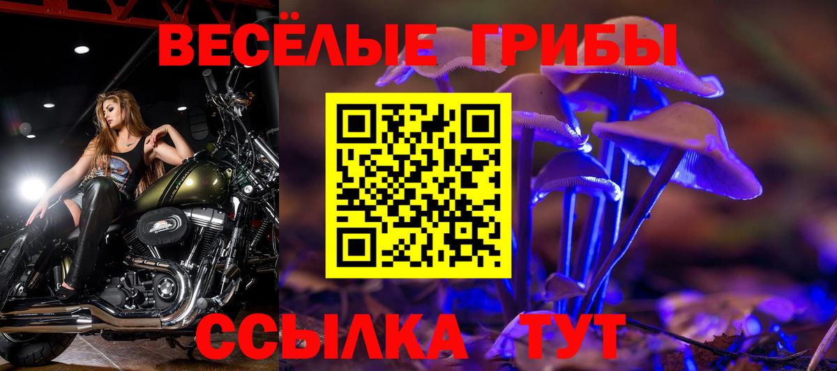 Галлюциногенные грибы мухоморы Скопин